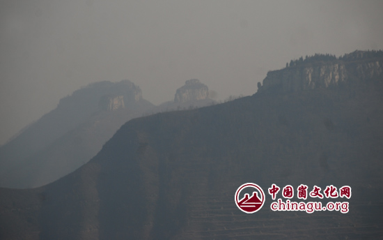 岱崮地貌现神奇参形山药 疑为宝岛台湾飞鸟衔播